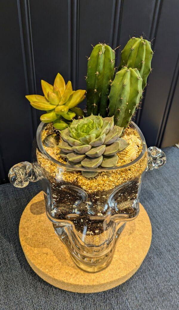 Succulent glass skull - Image 2