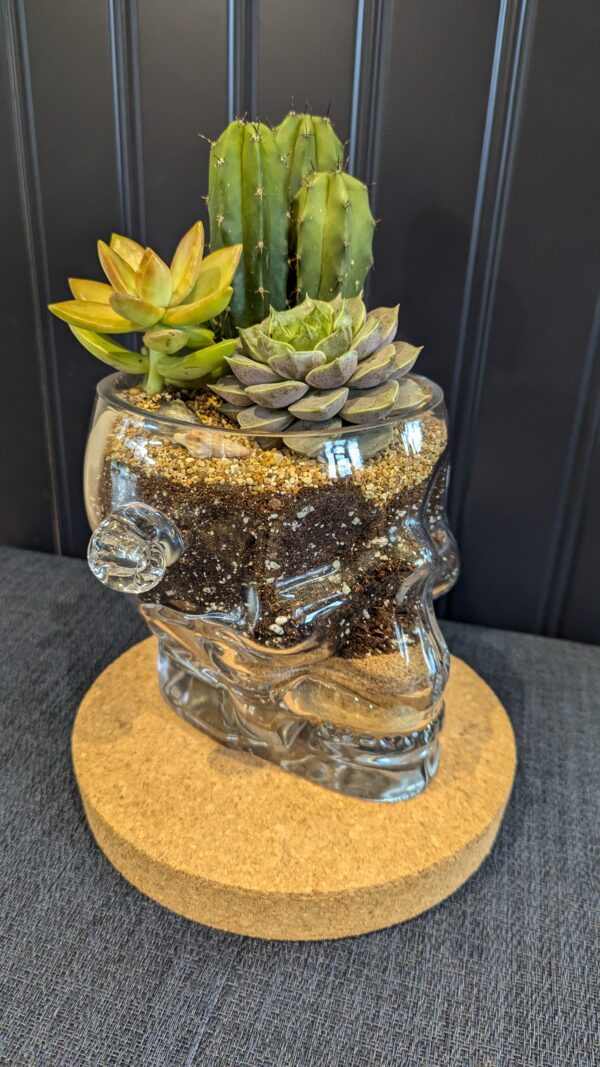 Succulent glass skull