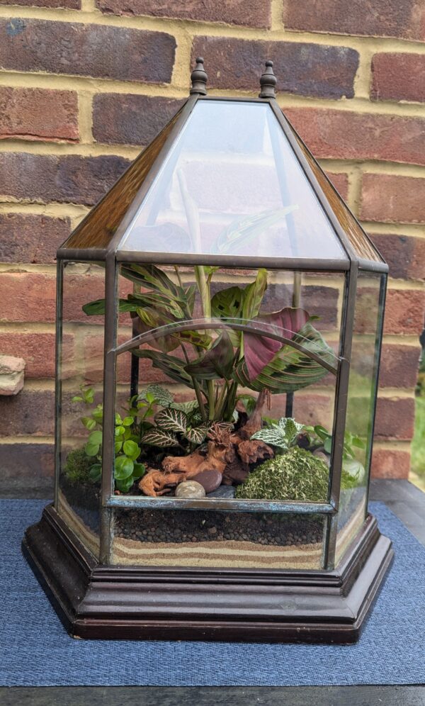 Vintage amber glass terrarium - Image 4