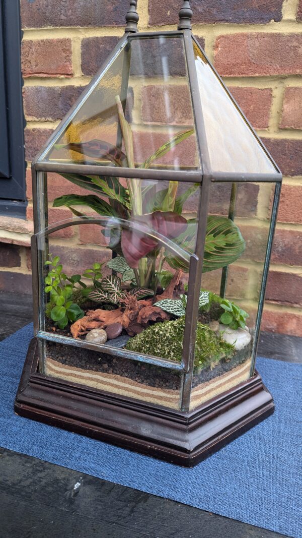 Vintage amber glass terrarium - Image 2