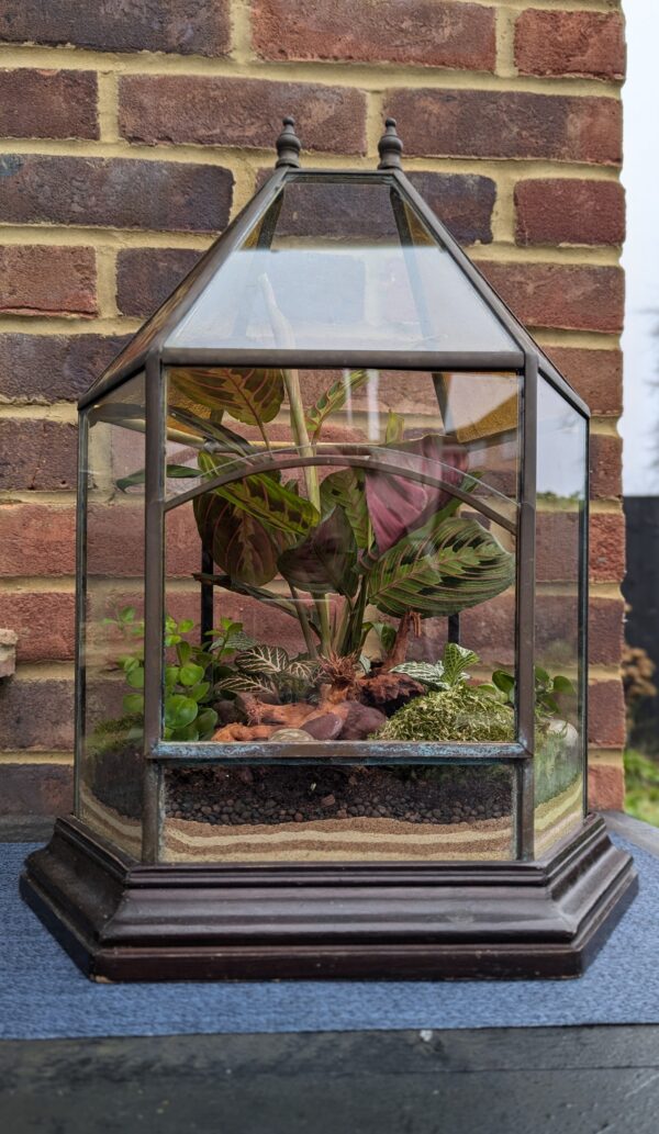 Vintage amber glass terrarium - Image 5