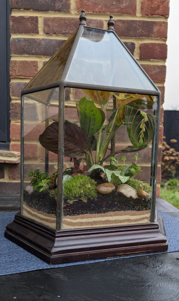 Vintage amber glass terrarium - Image 6