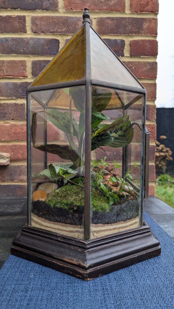 Vintage amber glass terrarium - Image 3