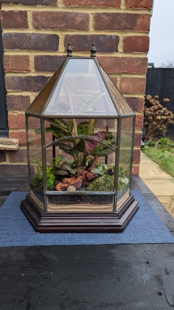 Vintage amber glass terrarium