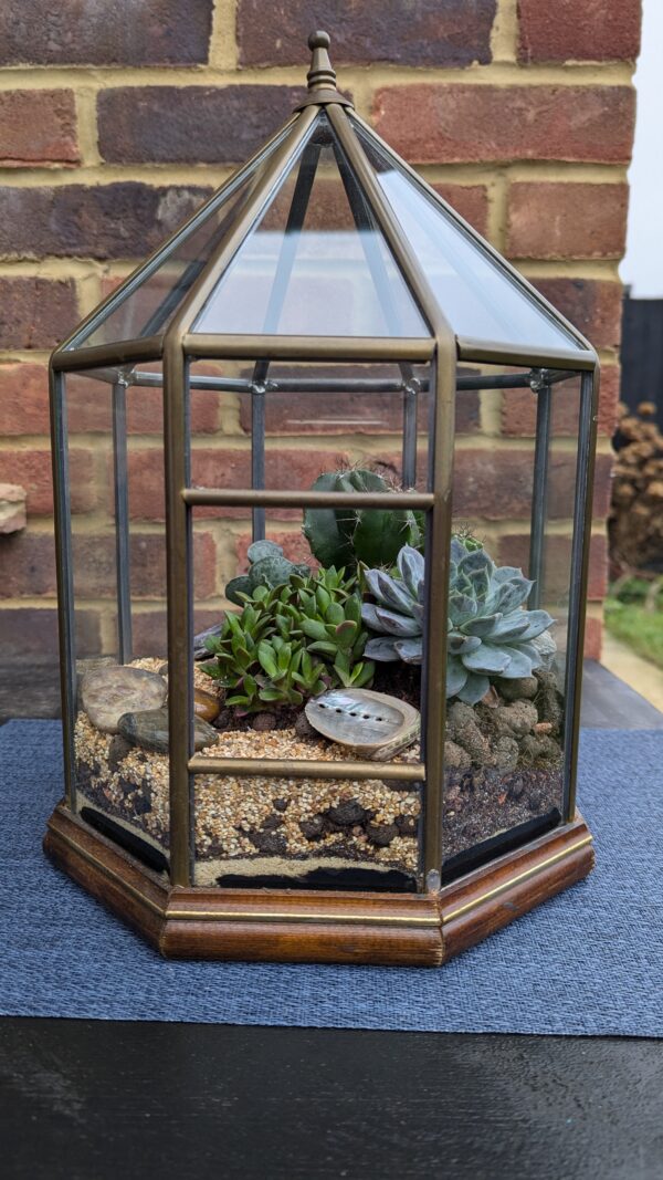 Vintage succulent octagon terrarium - Image 2