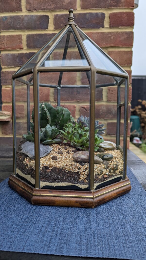 Vintage succulent octagon terrarium - Image 3