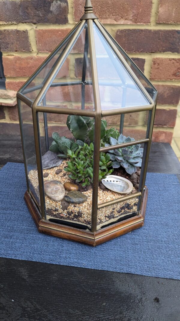 Vintage succulent octagon terrarium