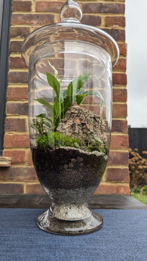 Giant apothecary jar terrarium - Image 6