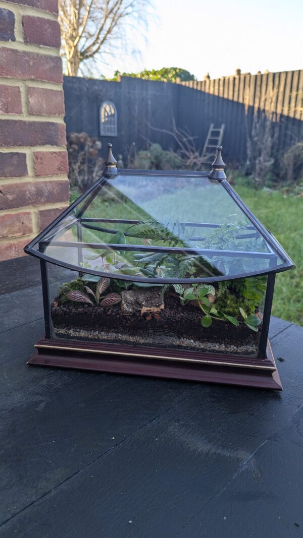 Vintage house terrarium