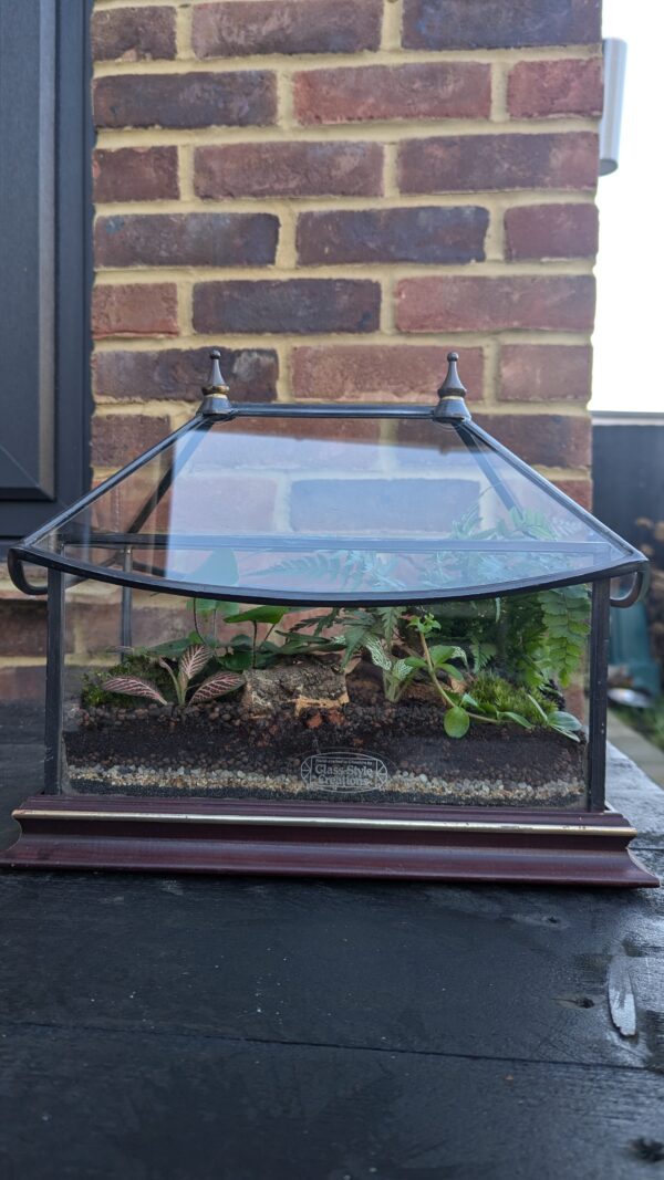 Vintage house terrarium - Image 2