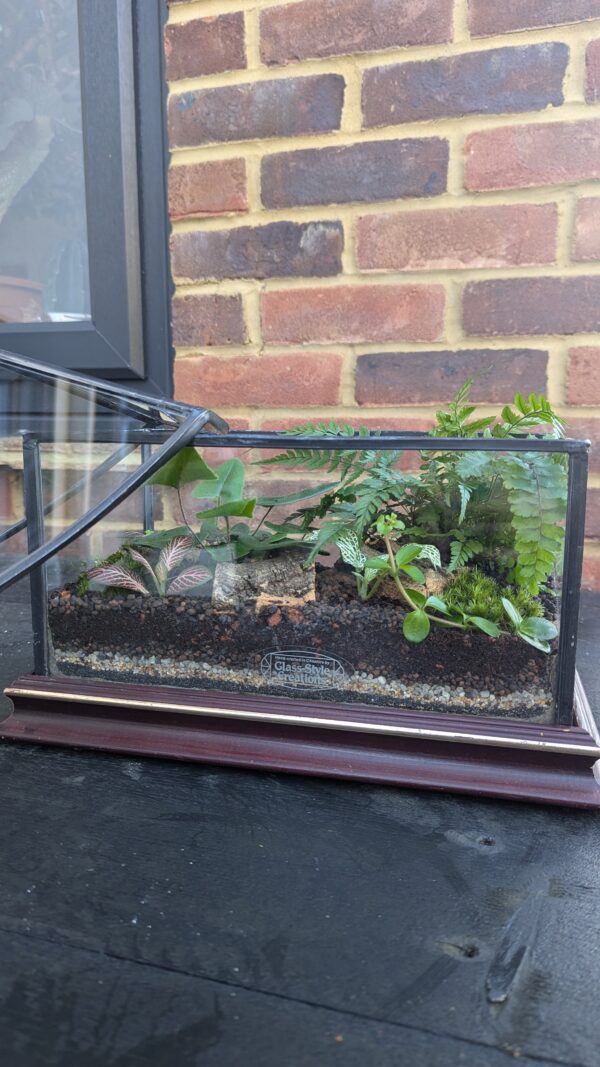 Vintage house terrarium - Image 3