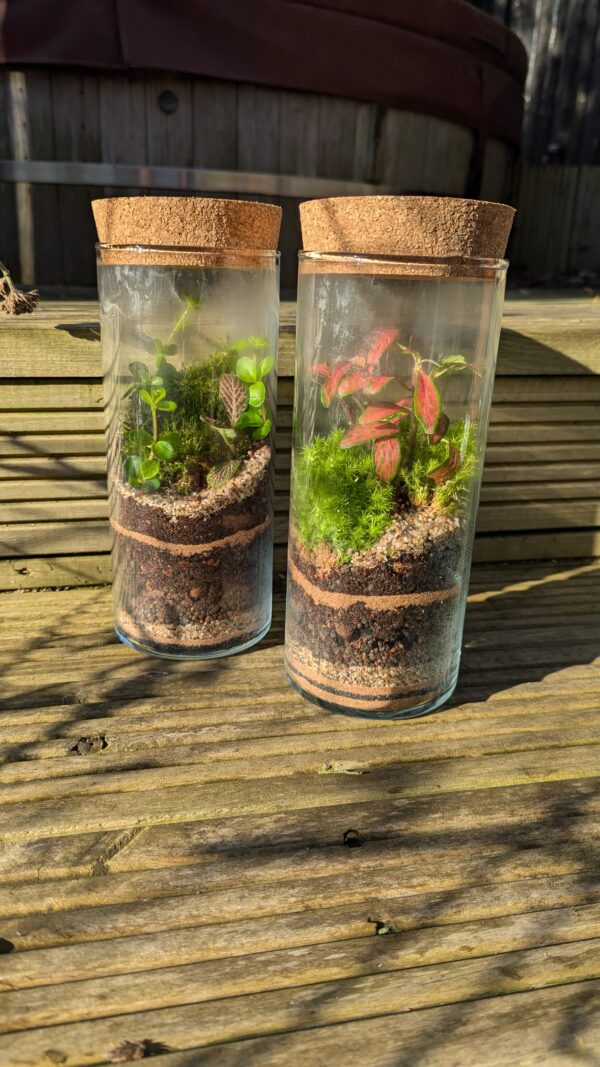 Tall cylinder terrarium