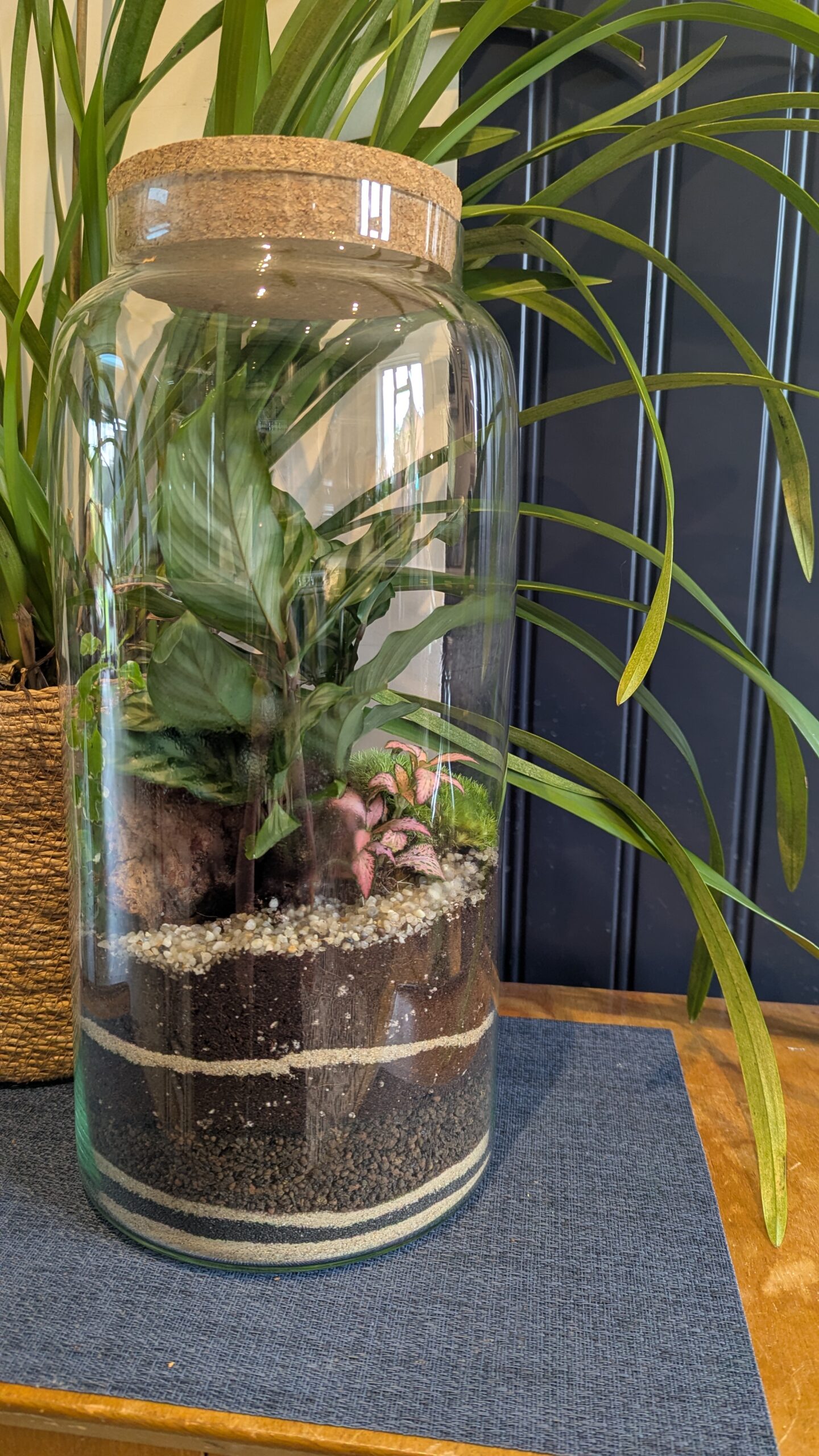 Tall apothecary jar terrarium by Blue Squid Creation, handmade terrarium in upcycled glass