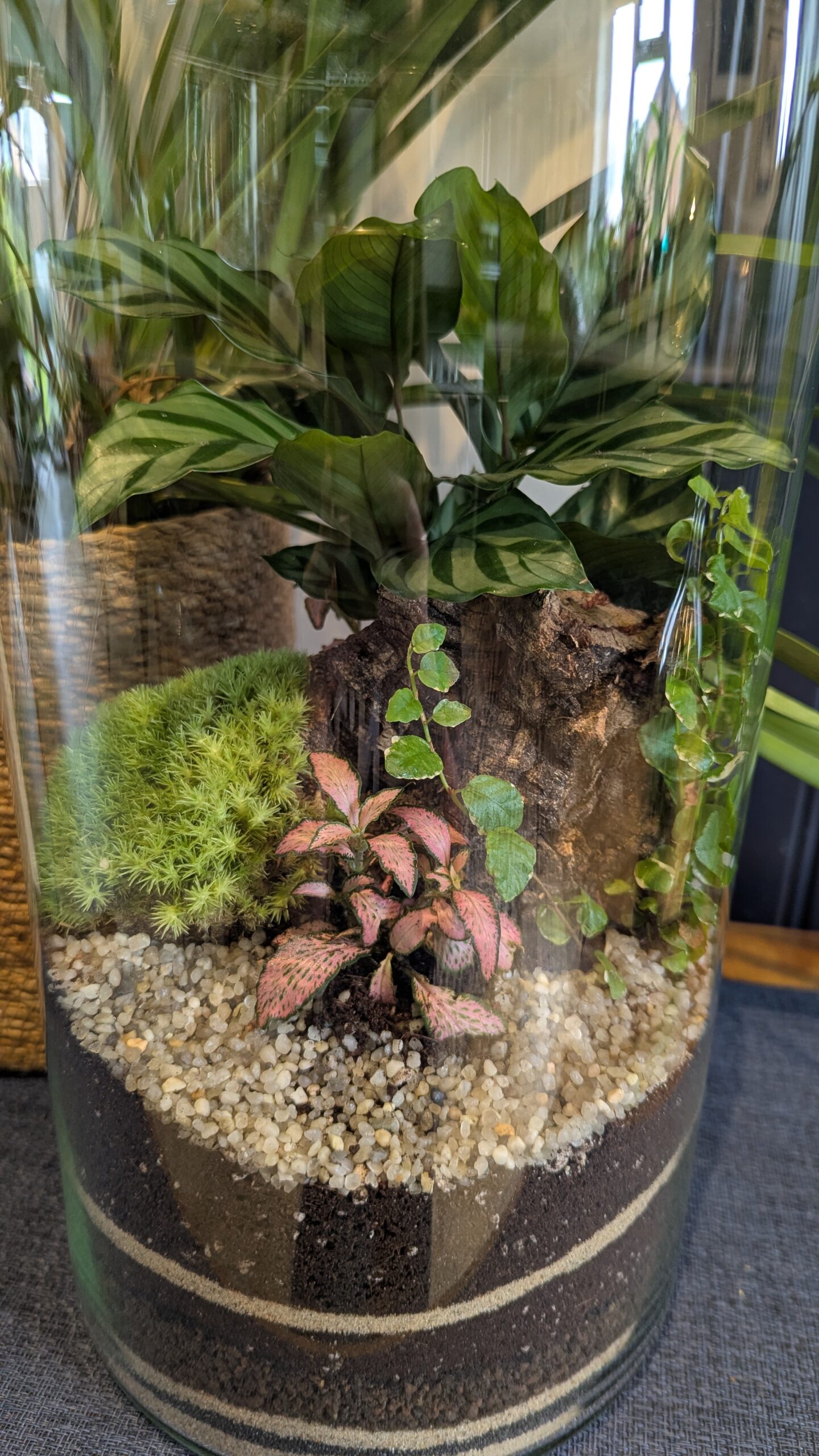 Tall apothecary jar terrarium by Blue Squid Creation, handmade terrarium in upcycled glass