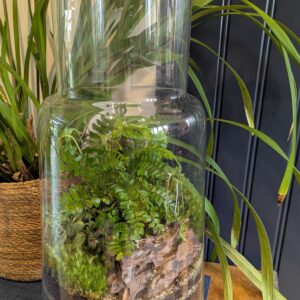 Large vintage bottle terrarium by Blue Squid Creation, handmade terrarium in upcycled glass