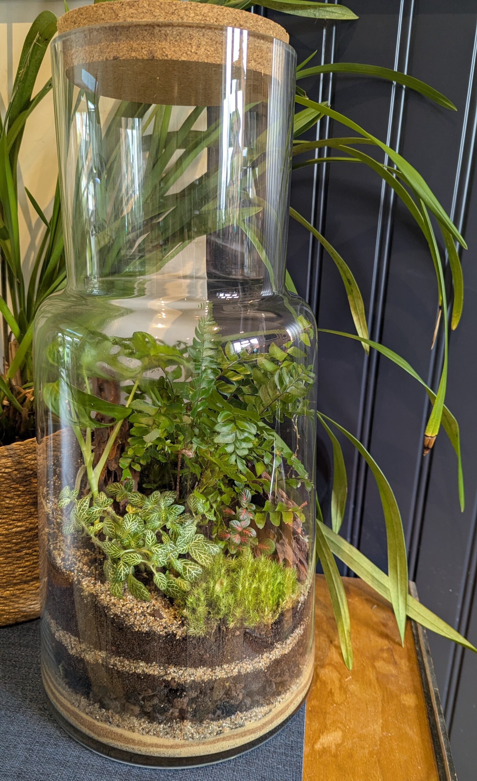 Large vintage bottle terrarium by Blue Squid Creation, handmade terrarium in upcycled glass