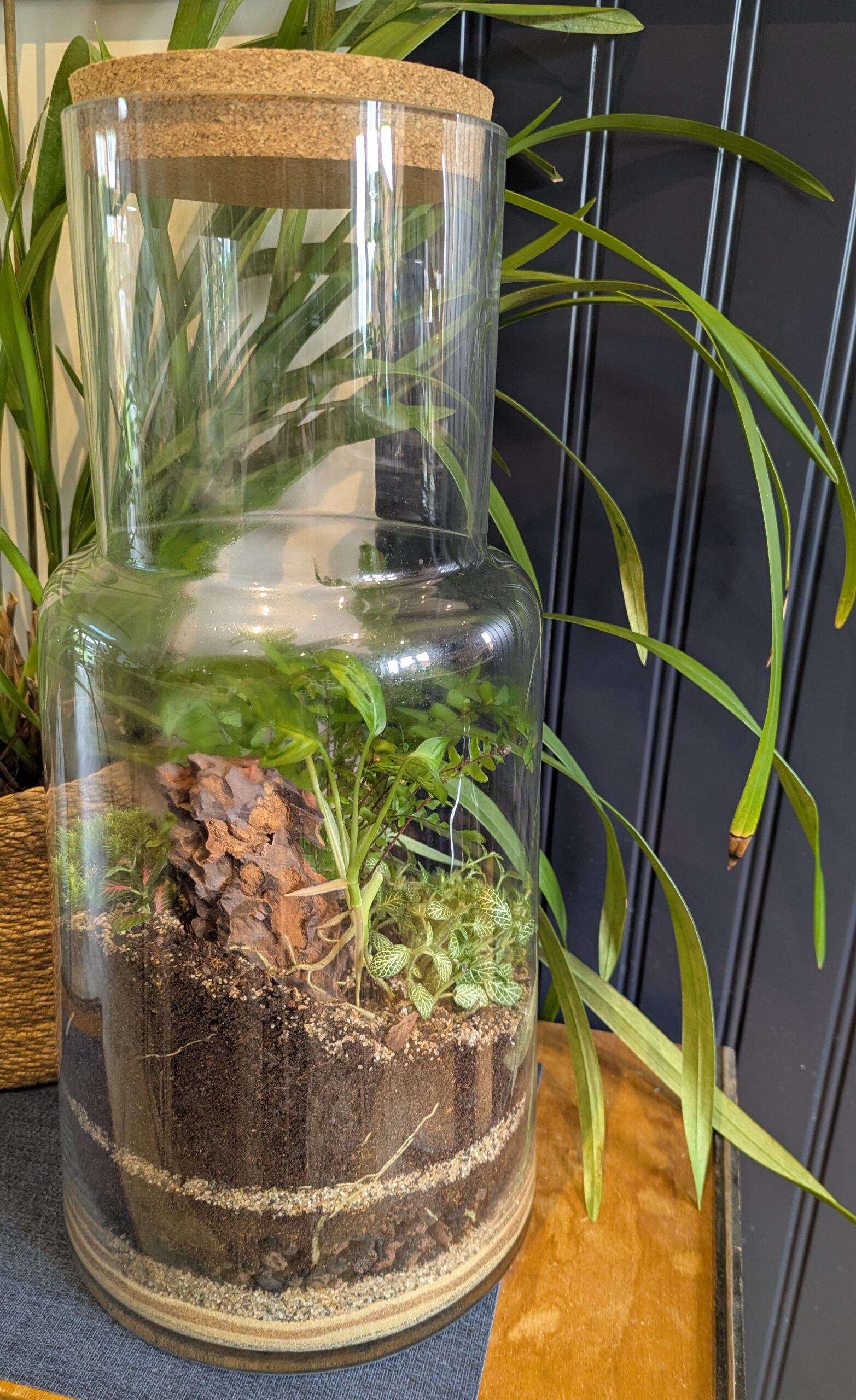 Large vintage bottle terrarium by Blue Squid Creation, handmade terrarium in upcycled glass