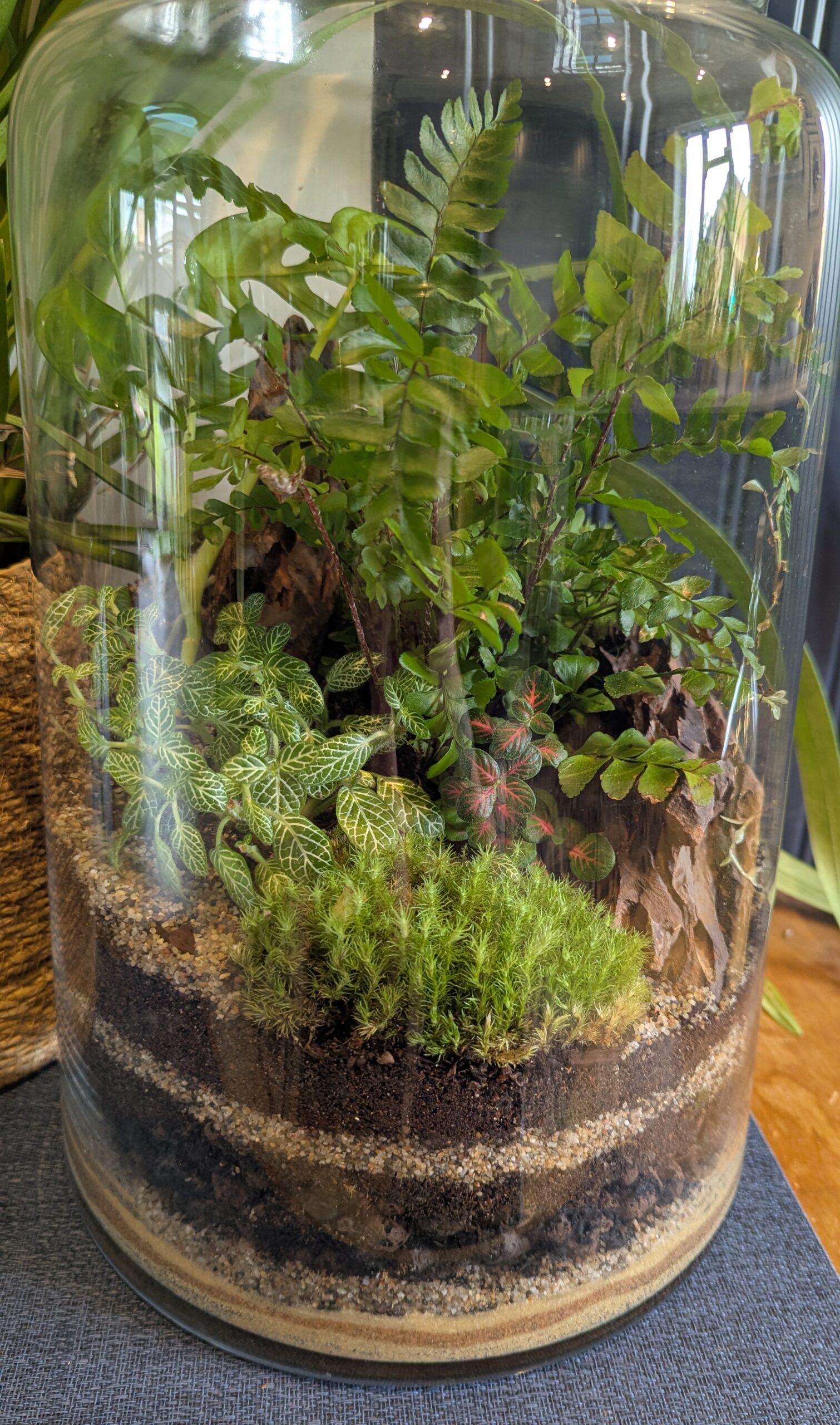 Large vintage bottle terrarium by Blue Squid Creation, handmade terrarium in upcycled glass