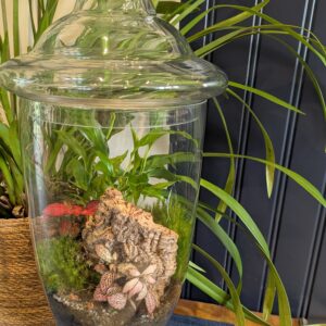Tall vintage flask terrarium by Blue Squid Creation, handmade terrarium in upcycled glass