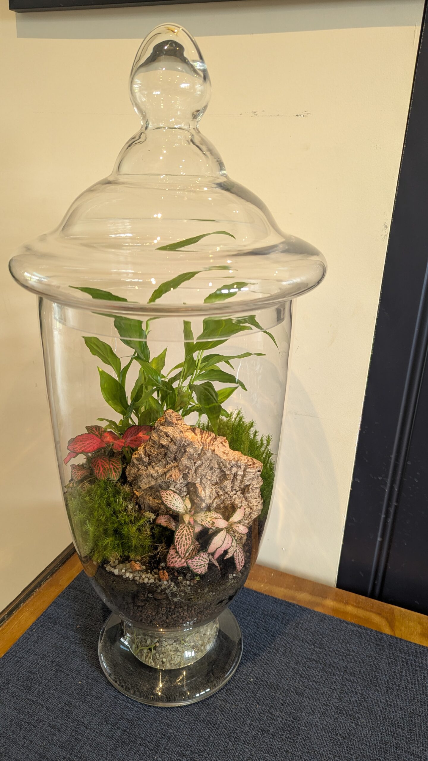 Tall vintage flask terrarium by Blue Squid Creation, handmade terrarium in upcycled glass