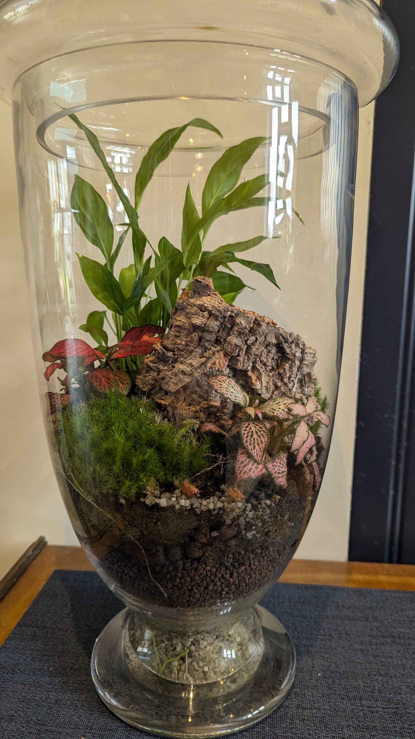 Tall vintage flask terrarium by Blue Squid Creation, handmade terrarium in upcycled glass