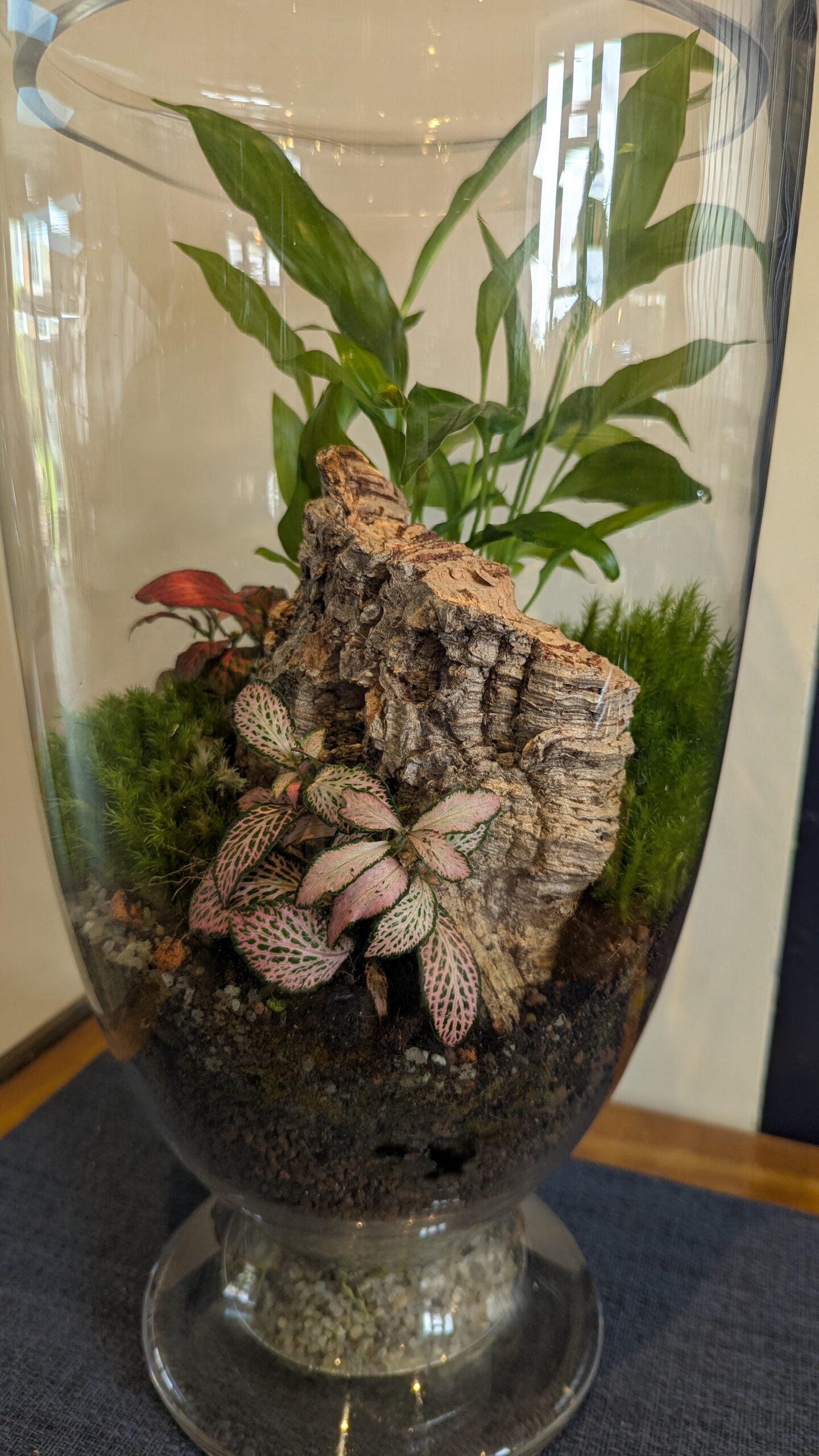 Tall vintage flask terrarium by Blue Squid Creation, handmade terrarium in upcycled glass