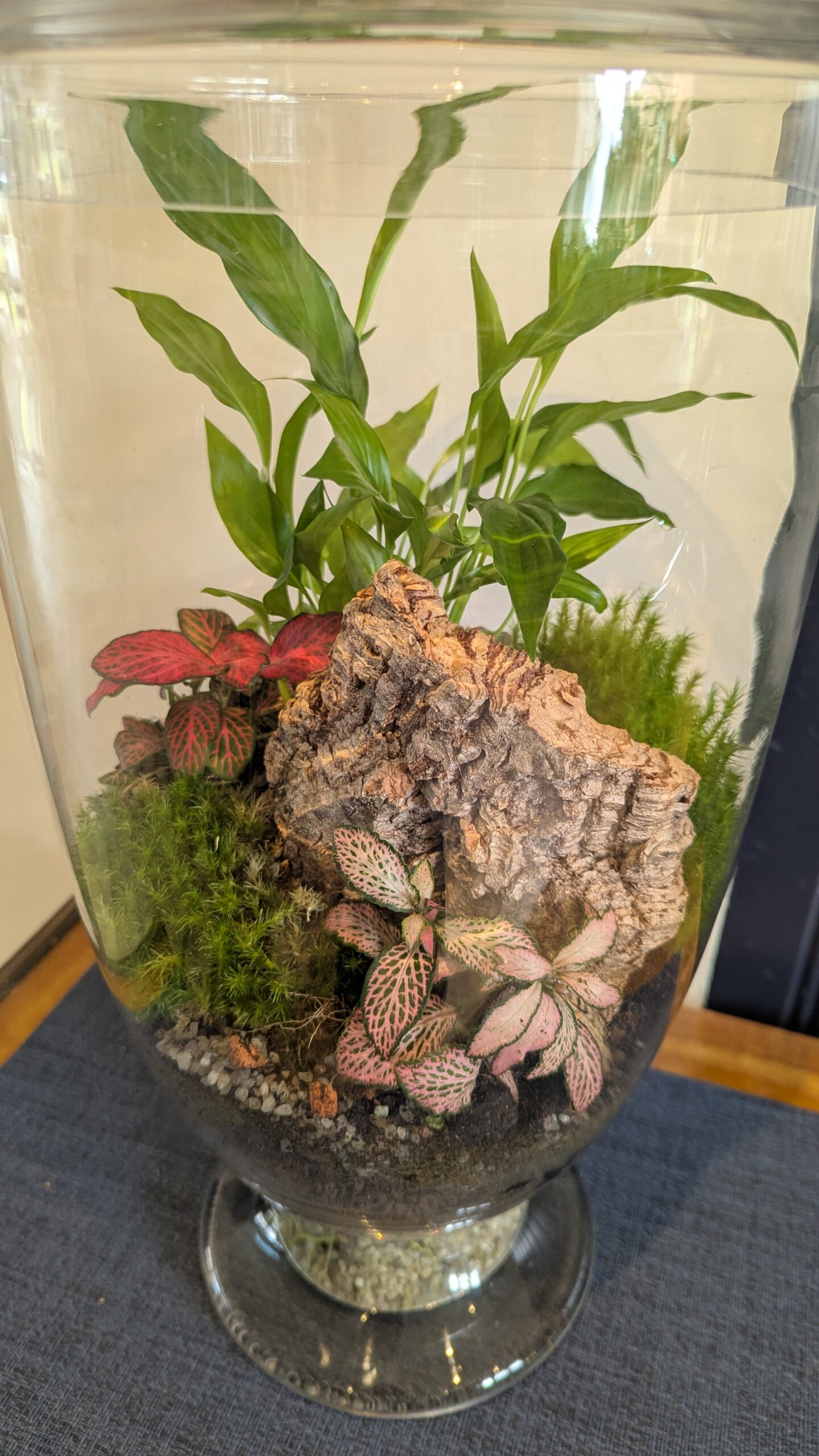 Tall vintage flask terrarium by Blue Squid Creation, handmade terrarium in upcycled glass