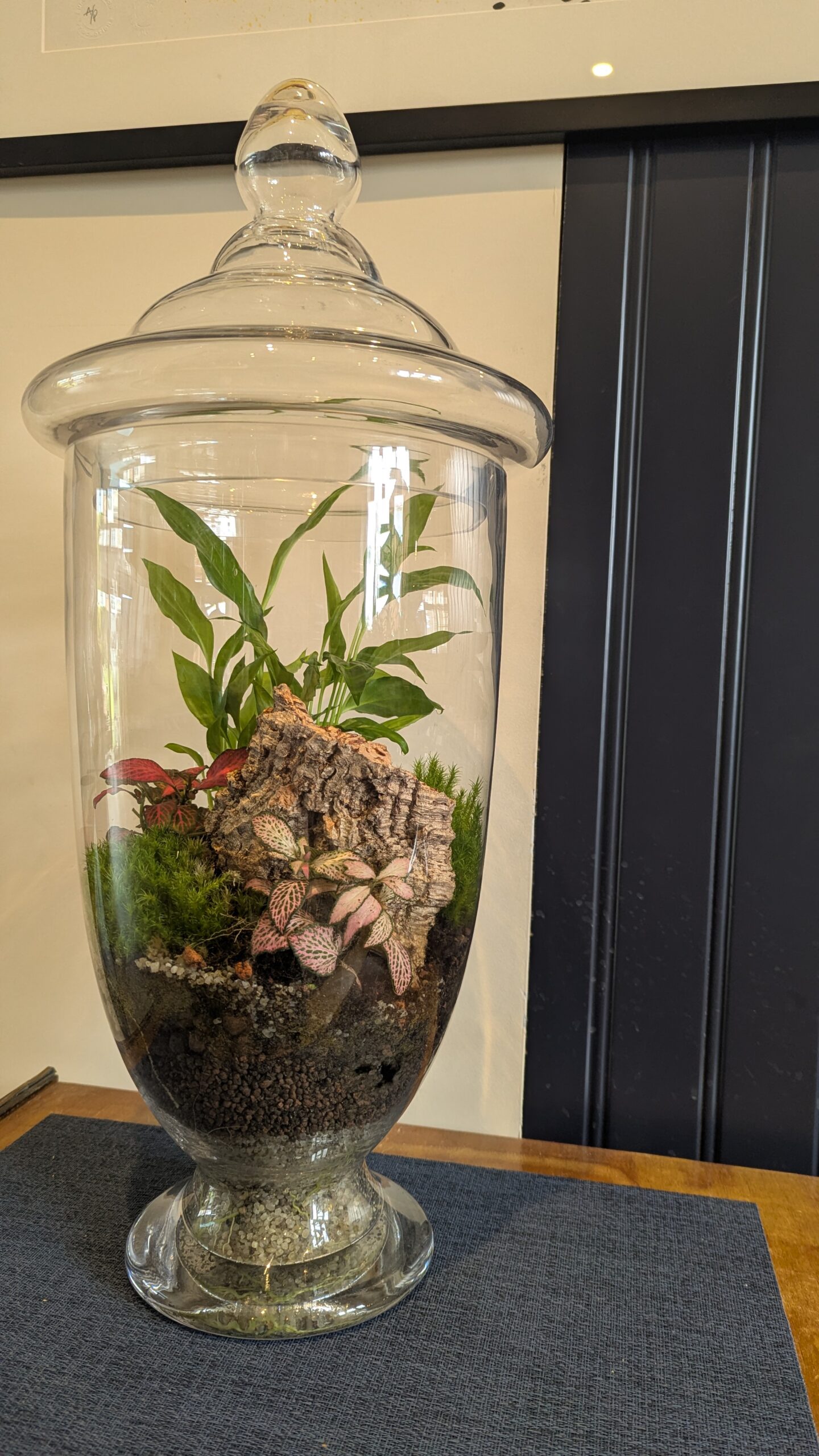 Tall vintage flask terrarium by Blue Squid Creation, handmade terrarium in upcycled glass