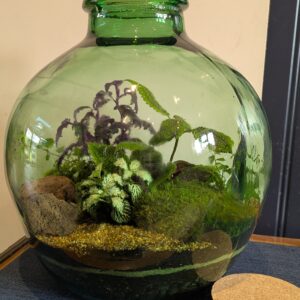 Wide fishbowl terrarium by Blue Squid Creation, handmade terrarium in upcycled glass