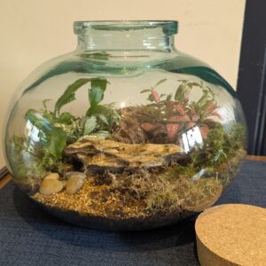 Small fishbowl terrarium by Blue Squid Creation, handmade terrarium in upcycled glass