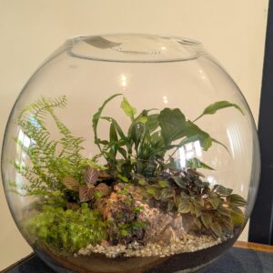 Giant round fishbowl terrarium by Blue Squid Creation, handmade terrarium in upcycled glass