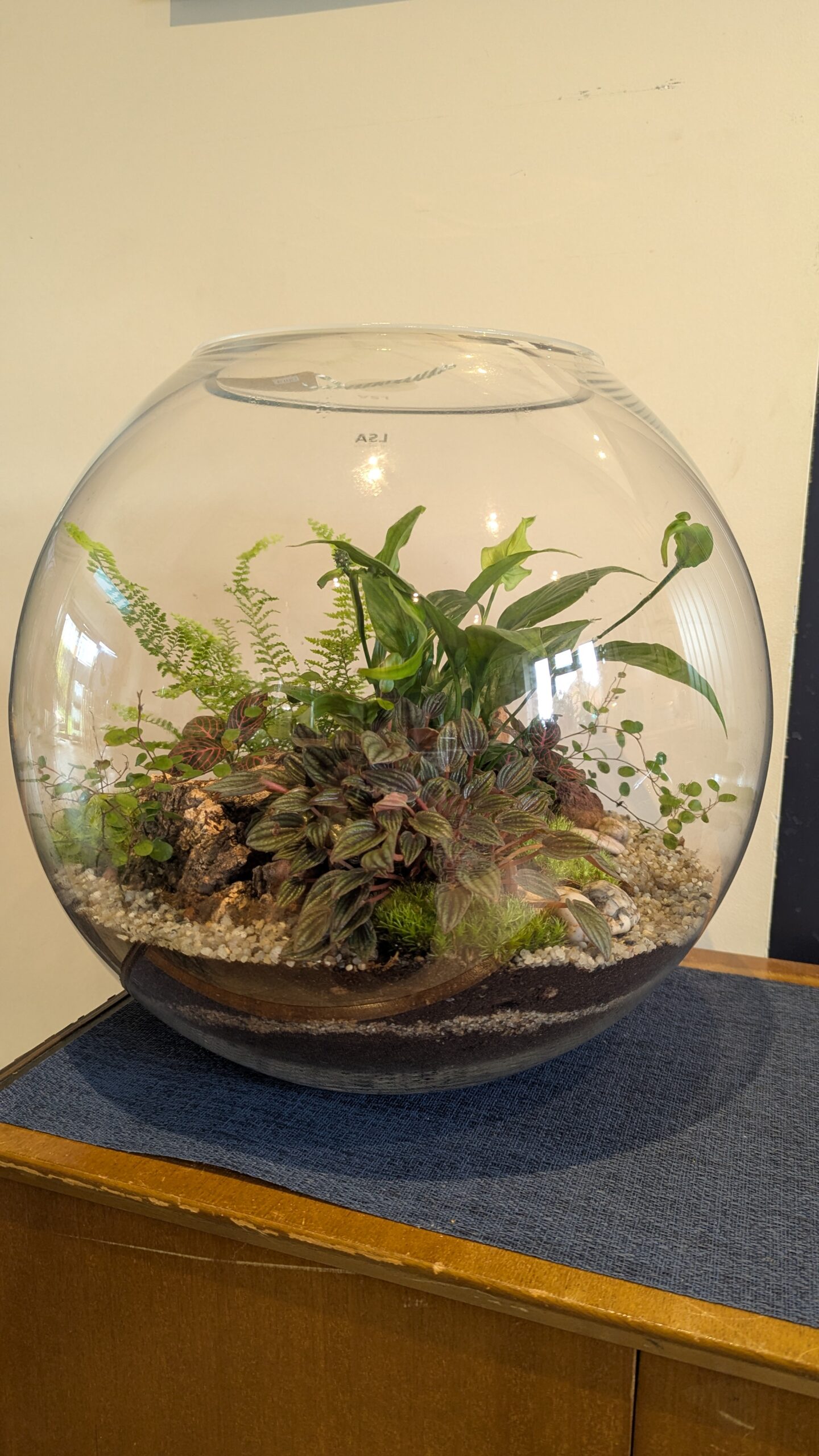 Giant round fishbowl terrarium by Blue Squid Creation, handmade terrarium in upcycled glass