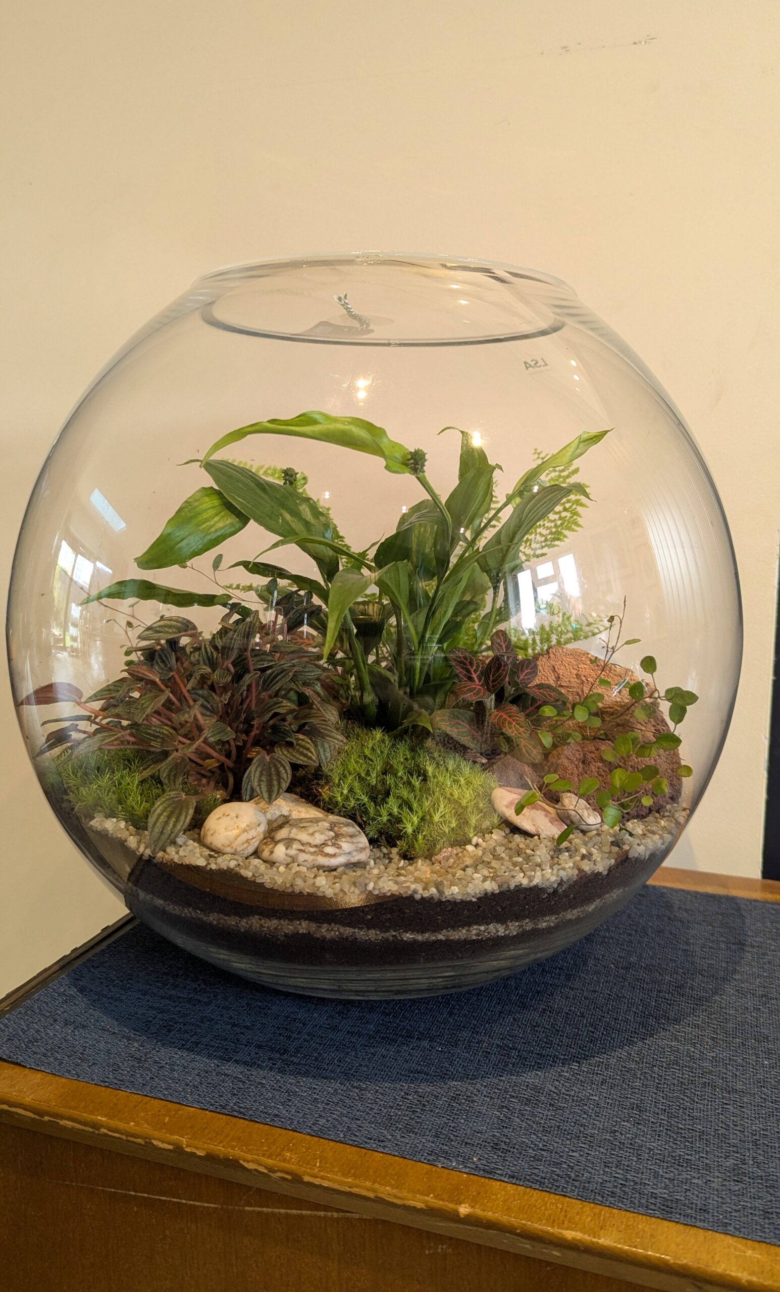 Giant round fishbowl terrarium by Blue Squid Creation, handmade terrarium in upcycled glass
