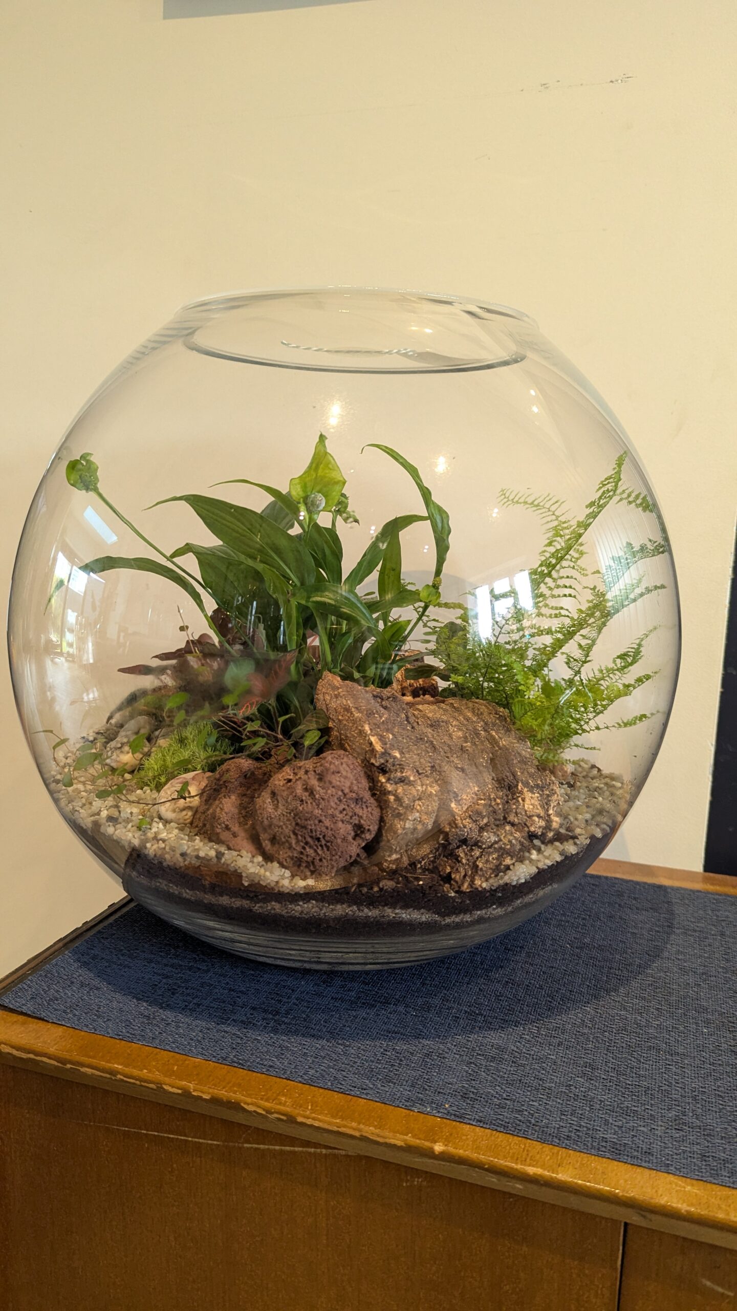 Giant round fishbowl terrarium by Blue Squid Creation, handmade terrarium in upcycled glass