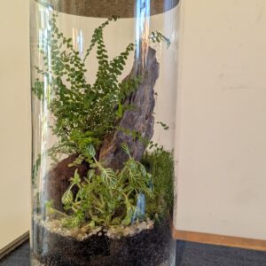 Slim jar terrarium by Blue Squid Creation, handmade terrarium in upcycled glass