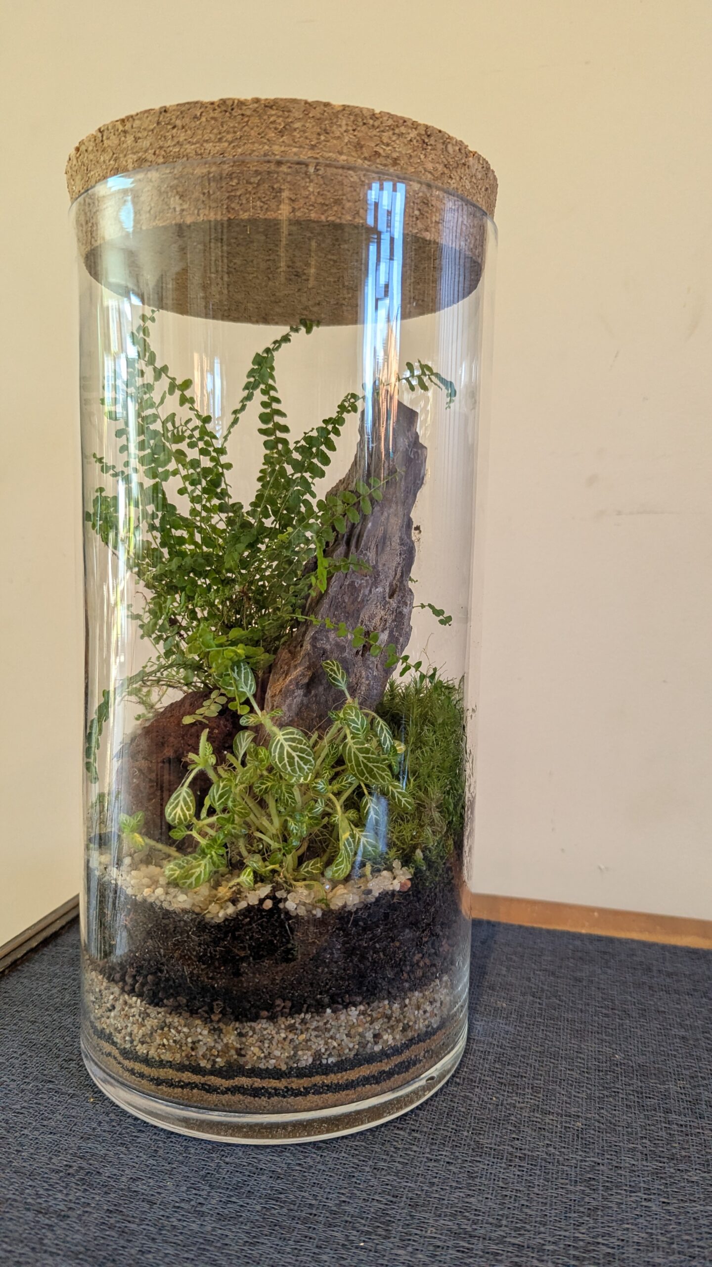 Corked Cylinder Terrarium, a compact closed terrarium with a cork lid, by Blue Squid Creation in Addlestone, Surrey