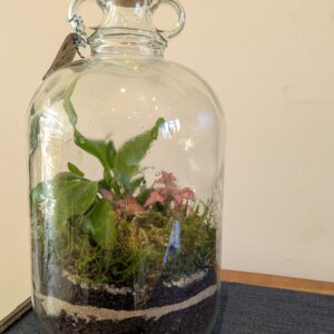 Tall slim jar terrarium by Blue Squid Creation, handmade terrarium in upcycled glass