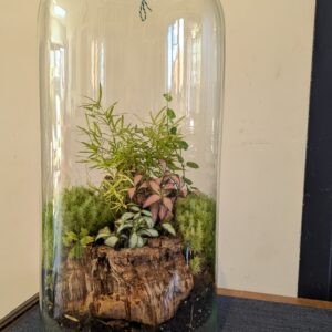 Large jar terrarium by Blue Squid Creation, handmade terrarium in upcycled glass