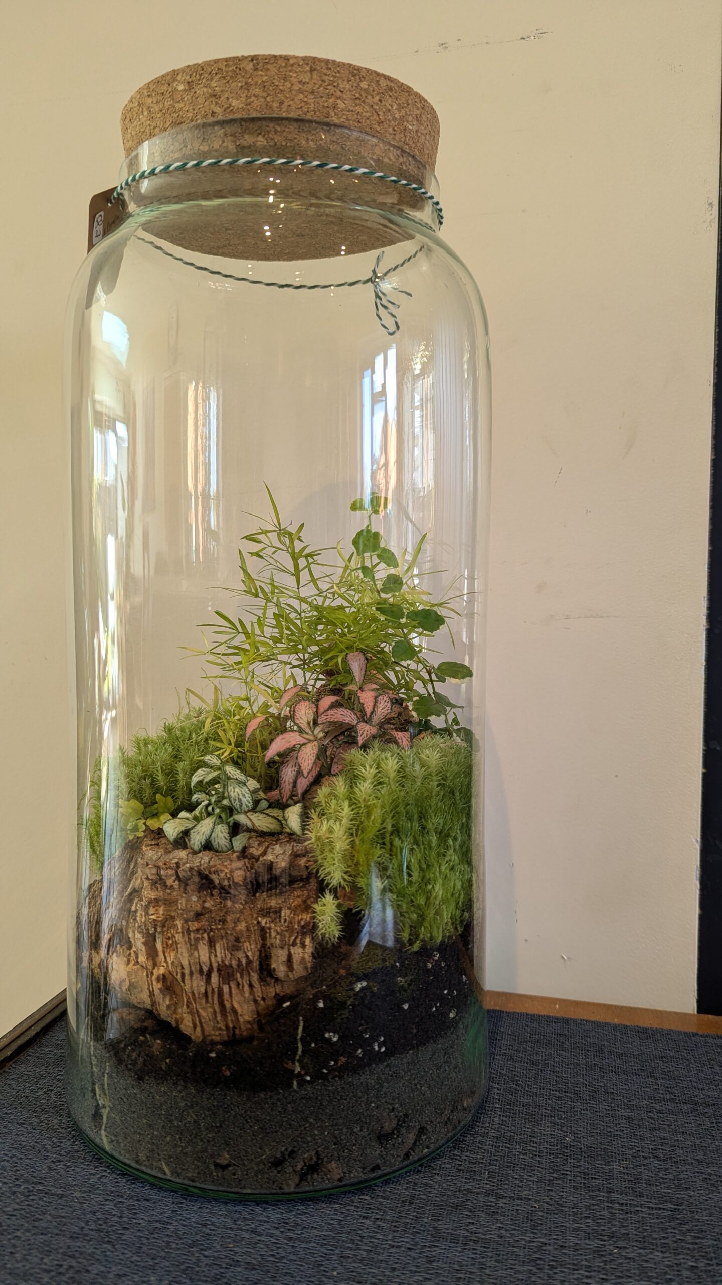 Large jar terrarium by Blue Squid Creation, handmade terrarium in upcycled glass